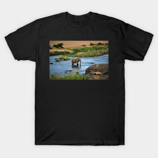 Elephant in the Crocodile River T-Shirt